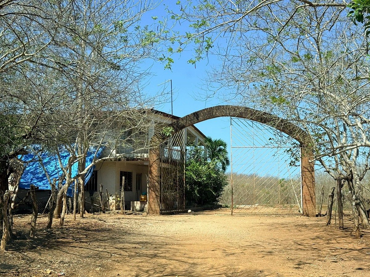 Rancho El Huapinolar | 116 Hectares of Productive Agricultural Land | Los Llanos