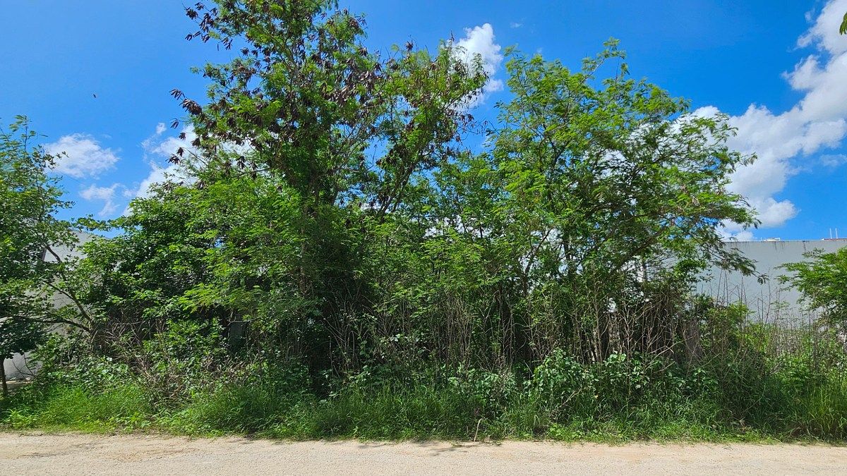 Terreno en renta en Temozón Norte, Mérida - HI2605475