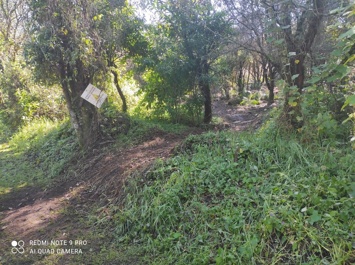 Lote en Venta-Valle Santana