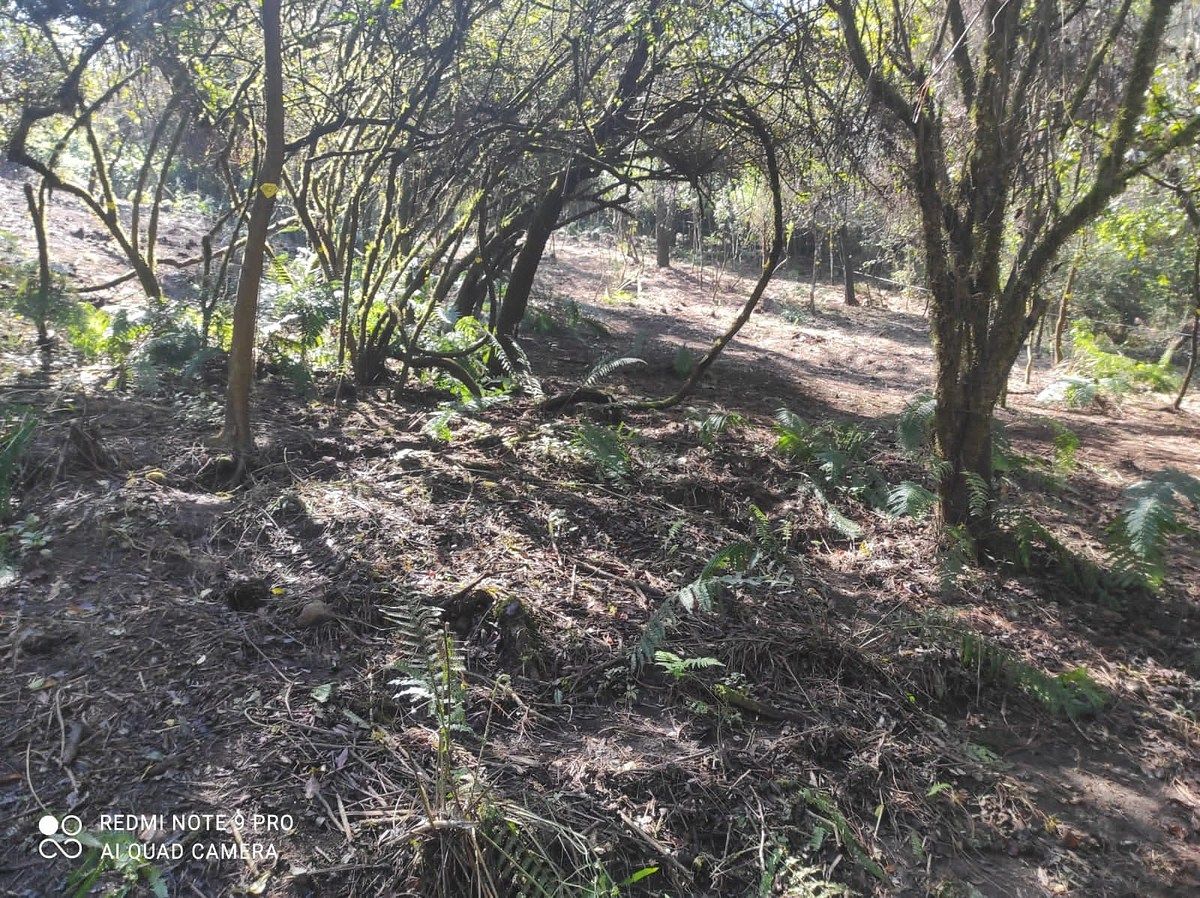 Lote en Venta-Valle Santana