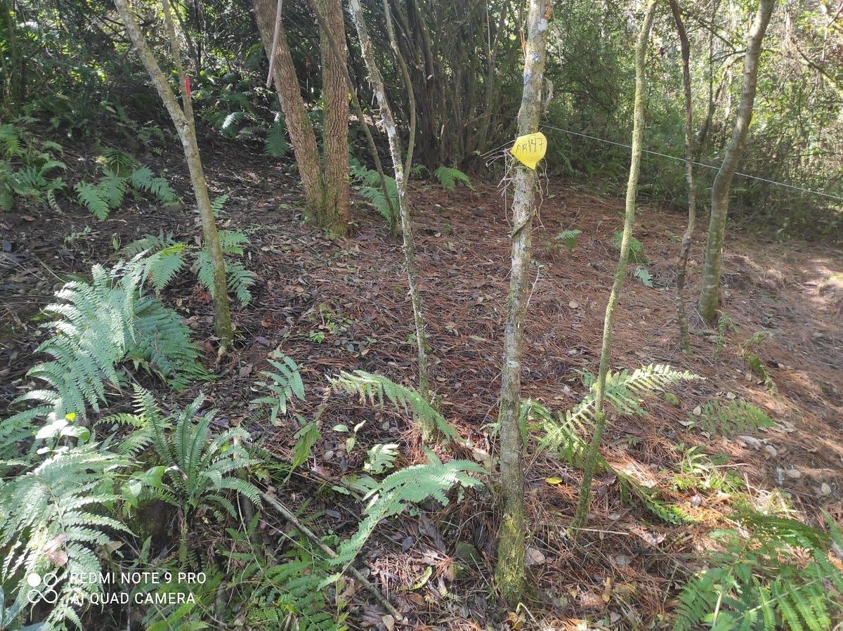 Lote en Venta-Valle Santana