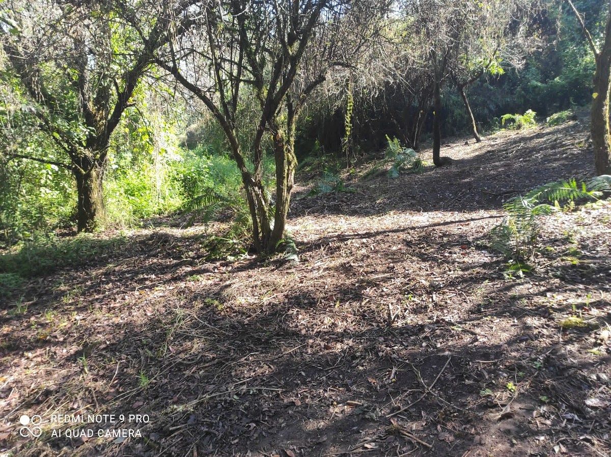 Lote en Venta-Valle Santana