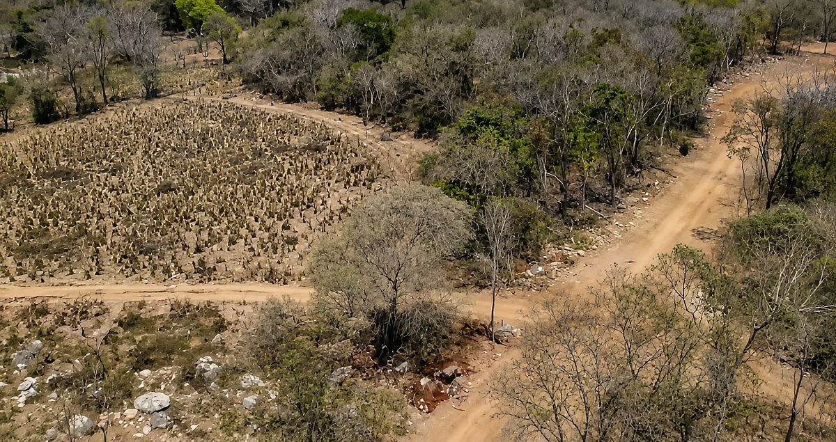 32.3 Hectares (79.8 Acres) | Southern Troncones  Land Opportunity