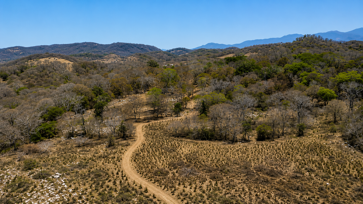 32.3 Hectares (79.8 Acres) | Southern Troncones  Land Opportunity