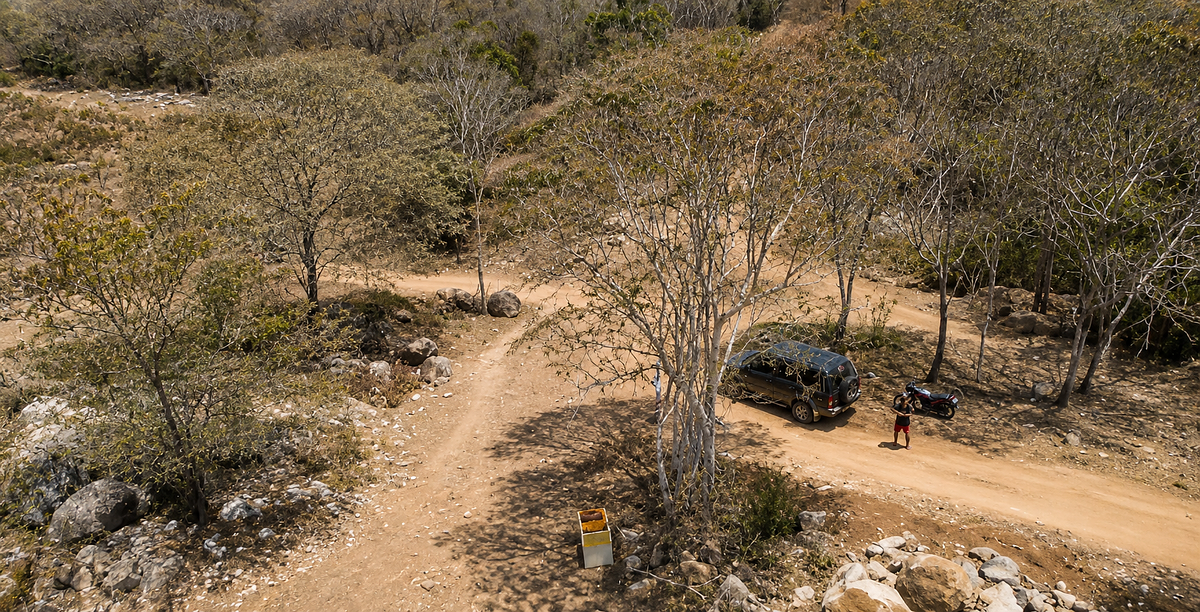 32.3 Hectares (79.8 Acres) | Southern Troncones  Land Opportunity