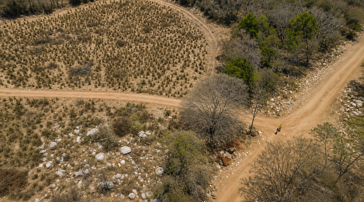 32.3 Hectares (79.8 Acres) | Southern Troncones  Land Opportunity