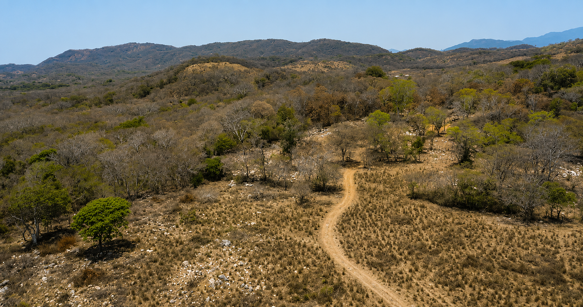 32.3 Hectares (79.8 Acres) | Southern Troncones  Land Opportunity