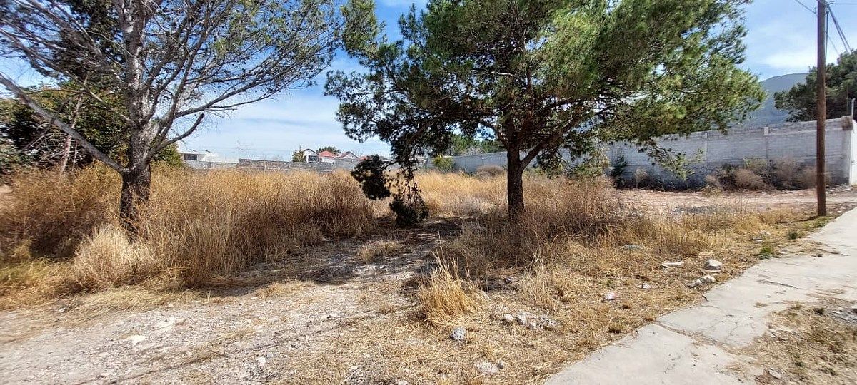 Terreno en venta en Saltillo, PASEO DE LOS MIRLOS