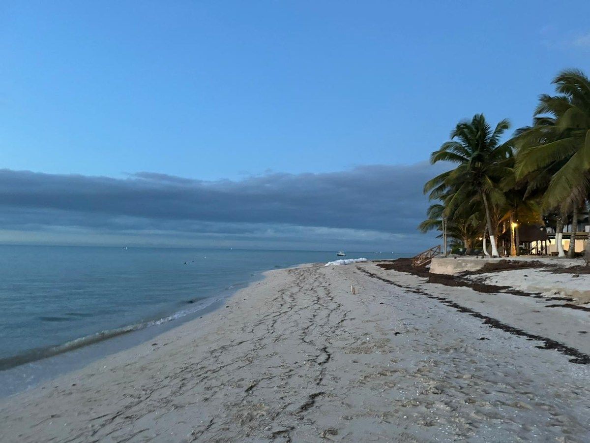 Terreno en venta, frente al mar, en San Benito, Yucatán