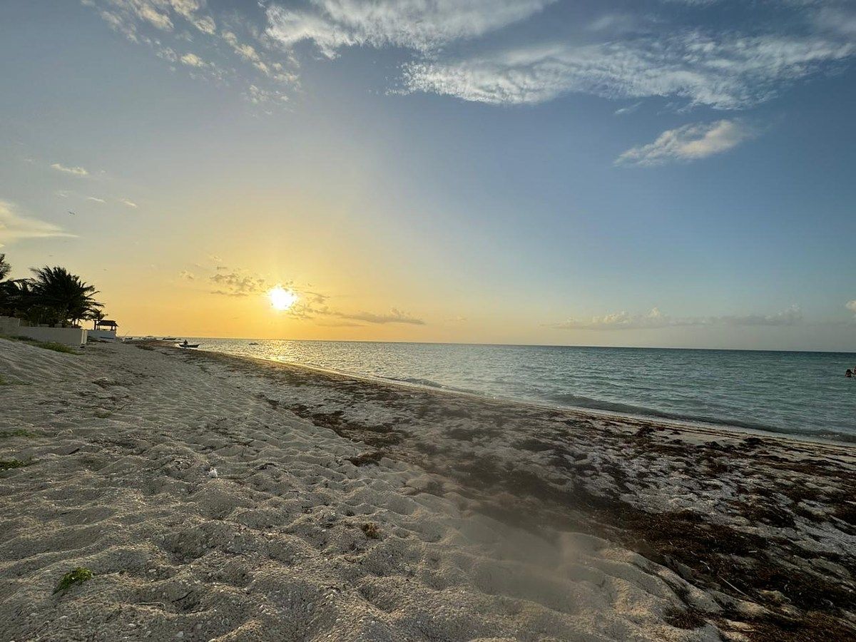 Terreno en venta, frente al mar, en San Benito, Yucatán