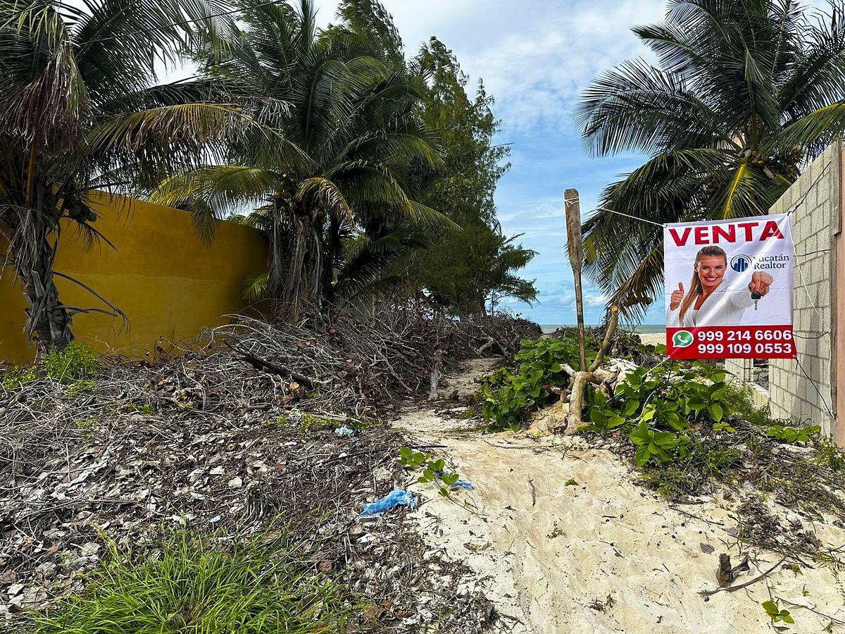 Terreno en venta, frente al mar, en San Benito, Yucatán