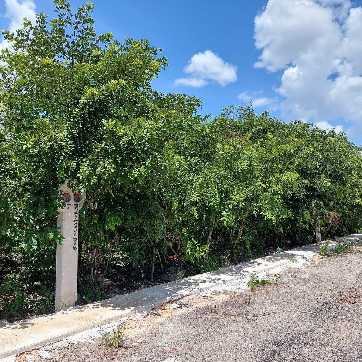 Lotes Residencial en Komchén, Las Nubes carretera Progreso Mérida