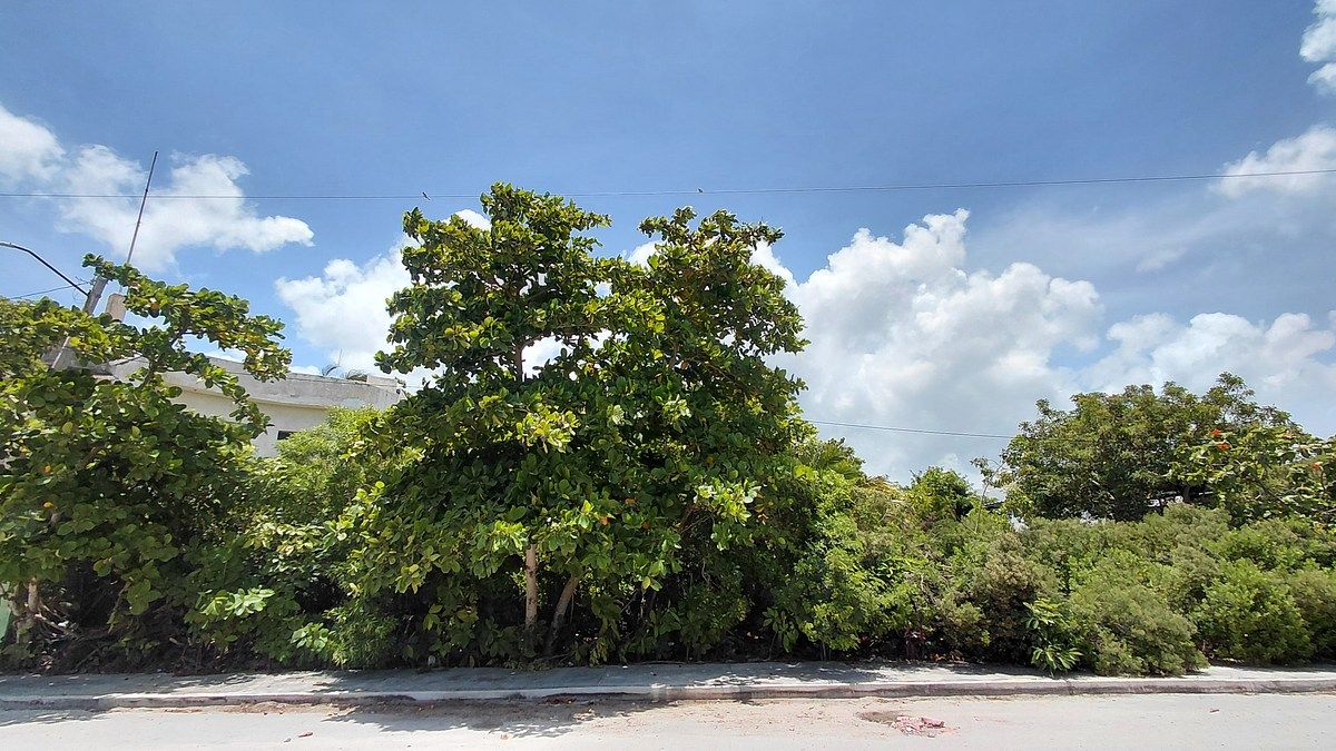 Terreno en venta en Progreso, 25