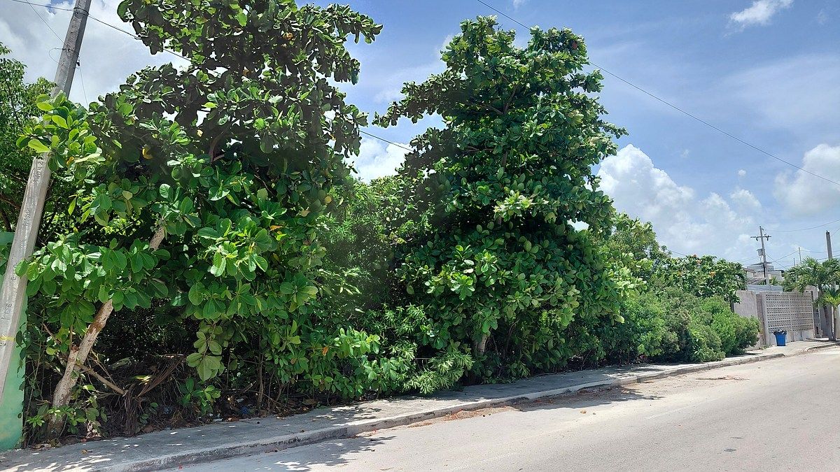 Terreno en venta en Progreso, 25