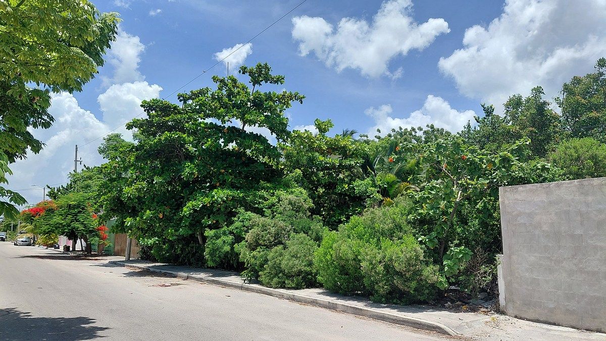 Terreno en venta en Progreso, 25