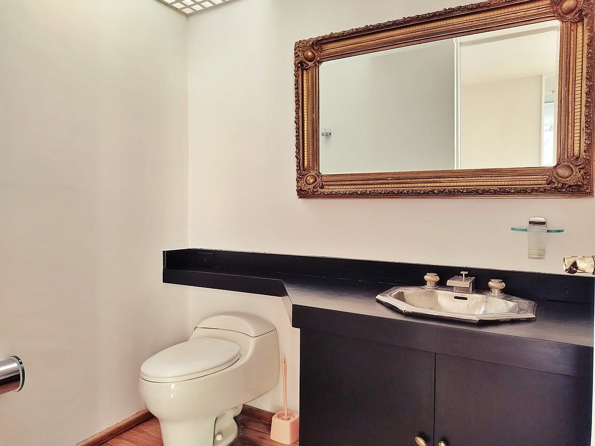 Condominium for rent in Álvaro Obregón, Lluvia, 447 m²