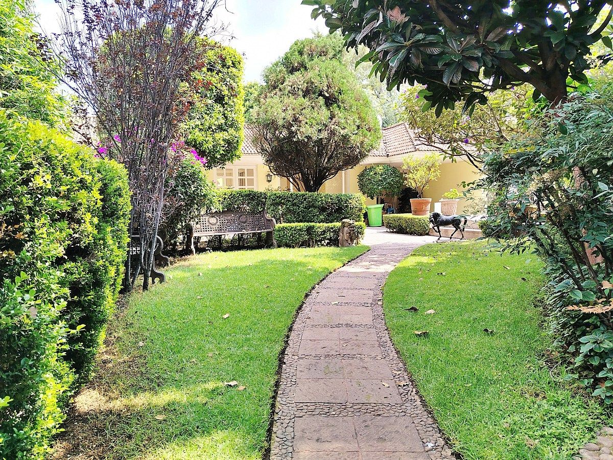 Casa en Renta en Calle Cerrada con Vigilancia, Jardines del Pedregal, Alvaro Obr