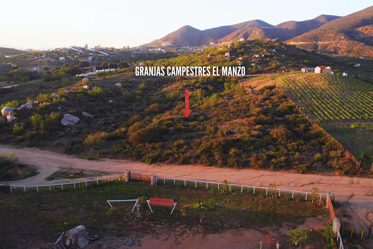 Terrenos Campestres en Venta en Valle de Guadalupe | Desde 2,600 m²