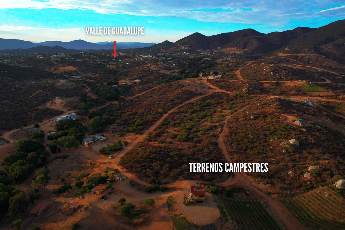 Terrenos Campestres en Venta en Valle de Guadalupe | Desde 2,600 m²
