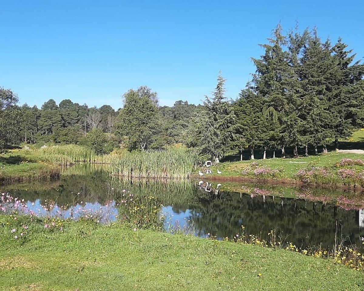 TERRENO HABITACIONAL EN VENTA RESIDENCIAL LOS MONTERO, JILOTZINGO