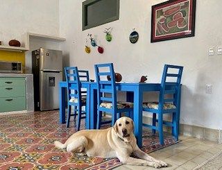 Casa en alquiler en Mérida, 72, 180 m²