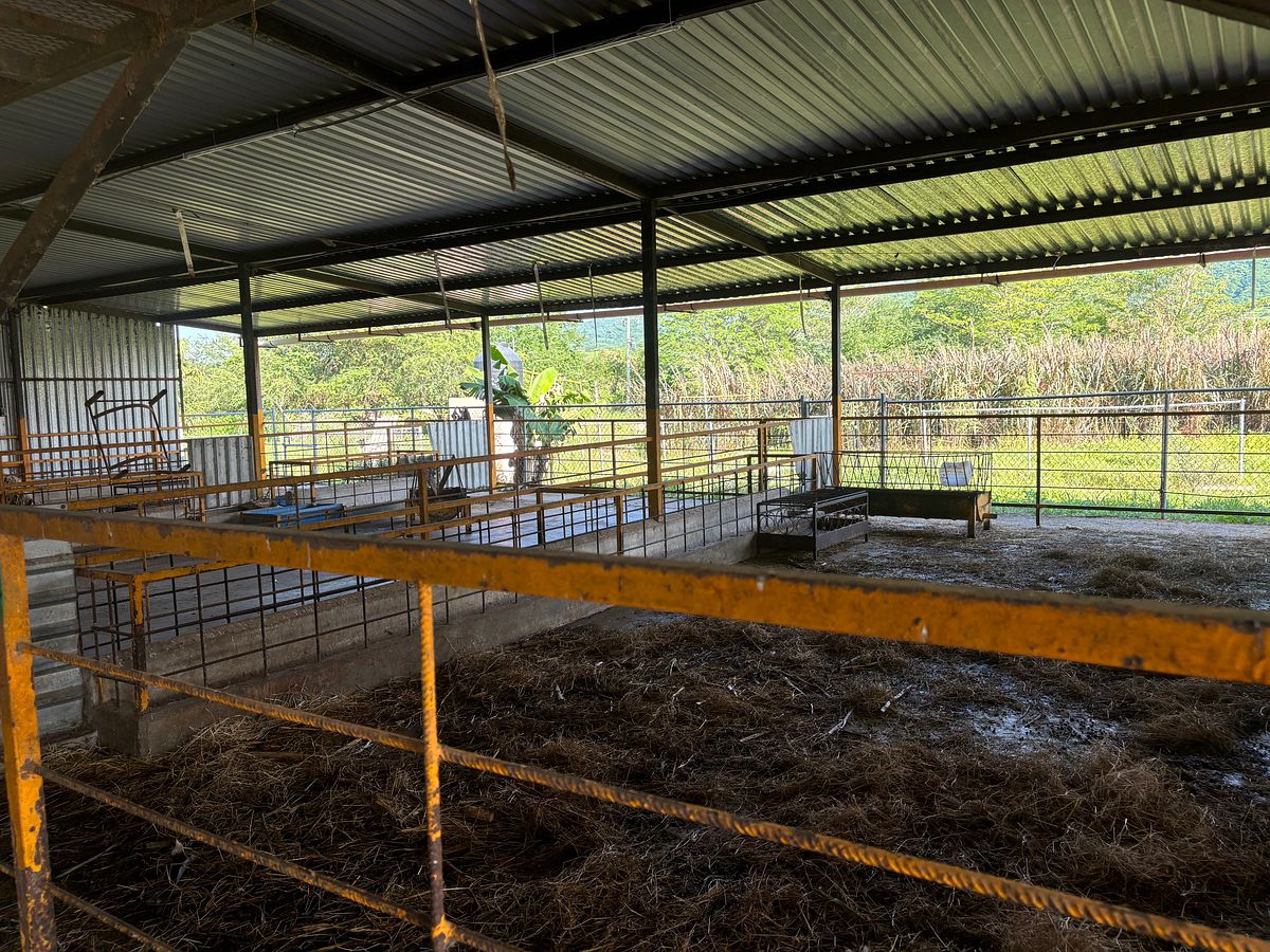 Rancho en Venta en San Juan de Abajo | 1.85 Ha con Casa e Infraestructura