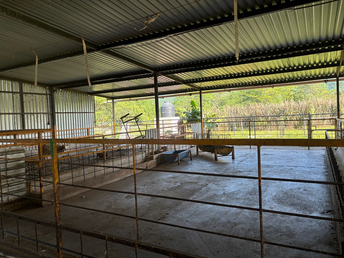 Rancho en Venta en San Juan de Abajo | 1.85 Ha con Casa e Infraestructura