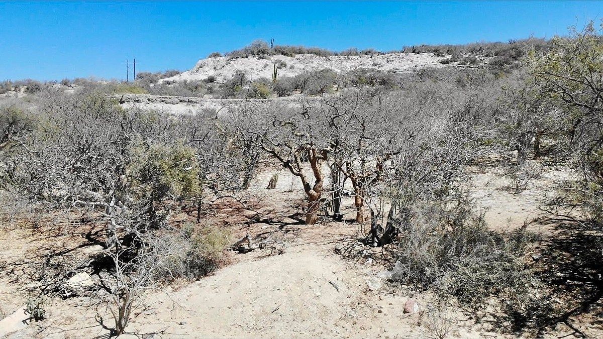 Terreno en venta en La Paz, Cuesta Blanca