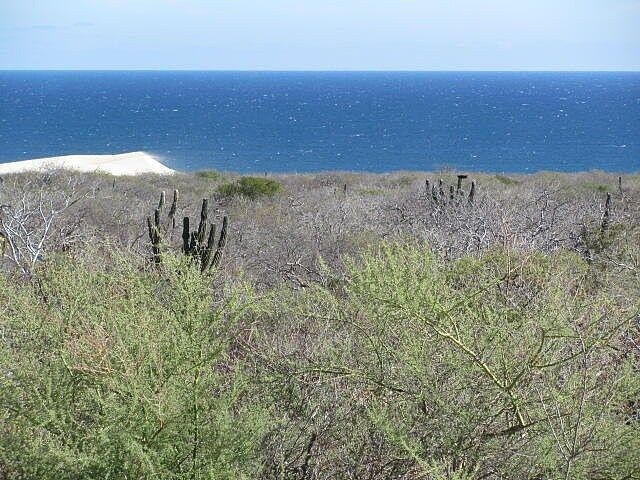 Terreno en venta en Los Cabos, Castillo de Arena