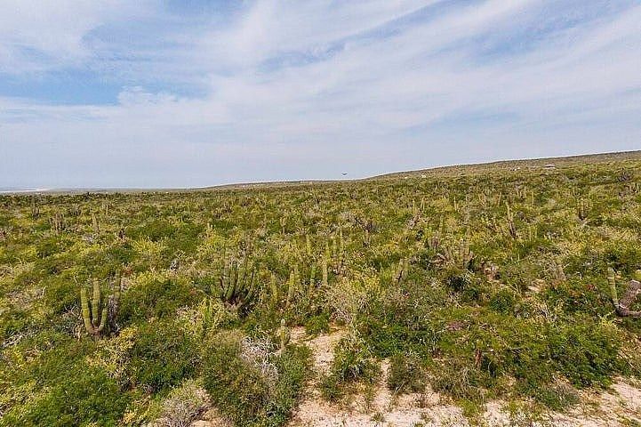 Terreno en venta en La Paz, Las Playitas