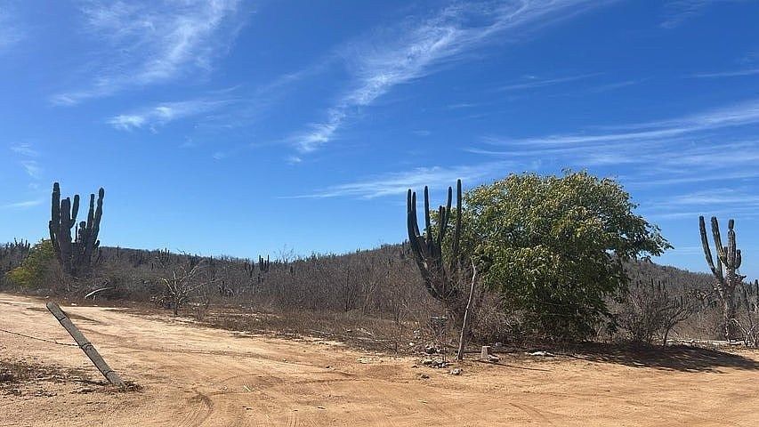 Terreno en venta en Los Cabos, El Pedregoso