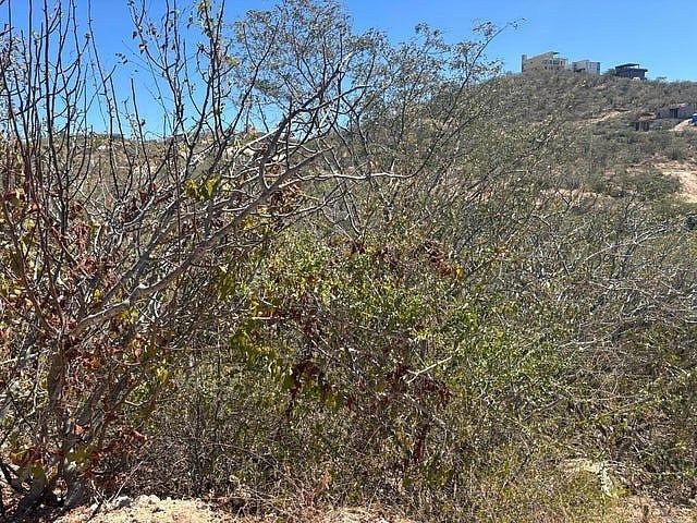 Terreno en venta en Los Cabos, Gral. Agustin Olachea A