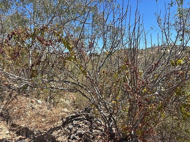 Terreno en venta en Los Cabos, Gral. Agustin Olachea A