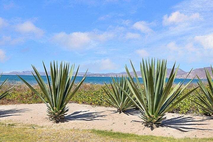 Condominio en venta en La Paz, Palmeras, 137 m²