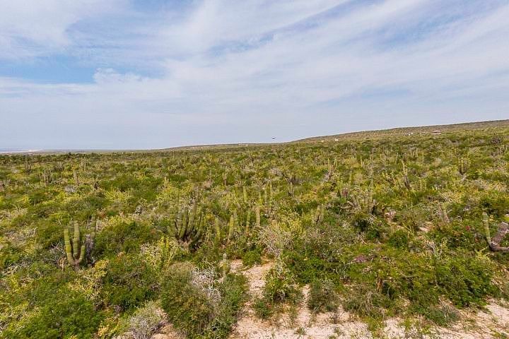 Terreno en venta en La Paz, Las Playitas