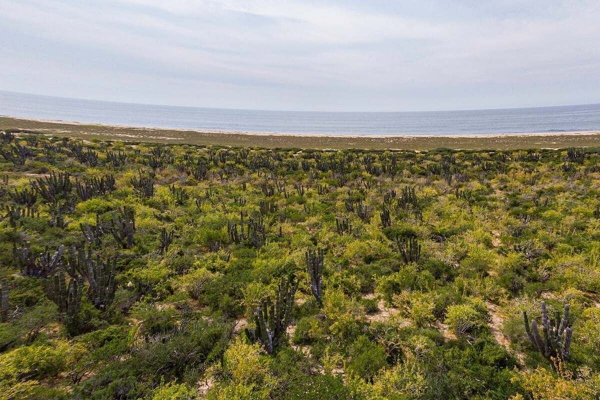 Terreno en venta en La Paz, Las Playitas