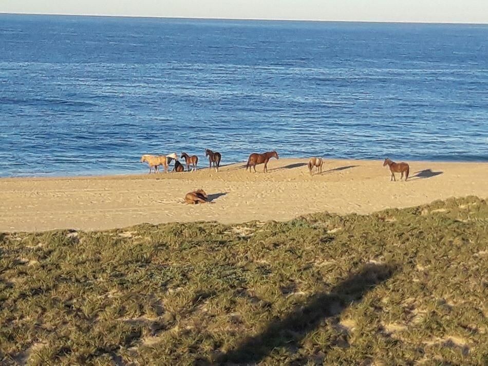 Terreno en venta en La Paz, Las Playitas