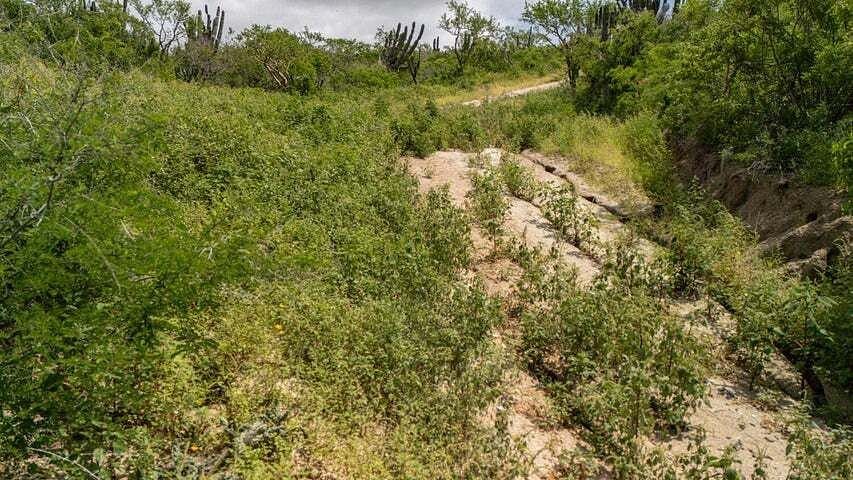 Terreno en venta en Los Cabos, Carretera Federal KM 19