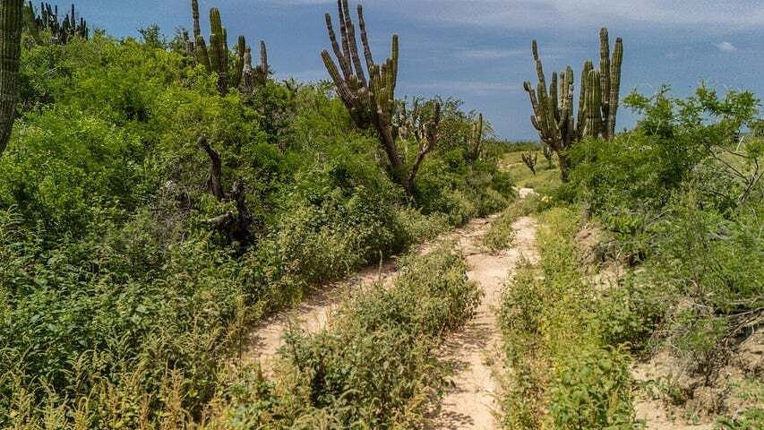 Terreno en venta en Los Cabos, Carretera Federal KM 19