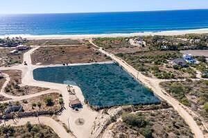 Calicora Lot 4