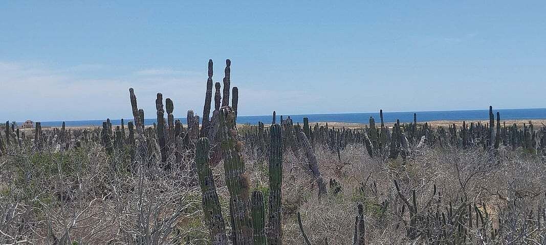 Terreno en venta en La Paz, Las Playitas
