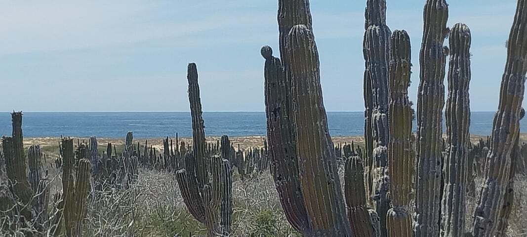 Terreno en venta en La Paz, Las Playitas