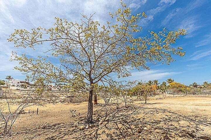 Terreno en venta en La Paz, Las Tunas