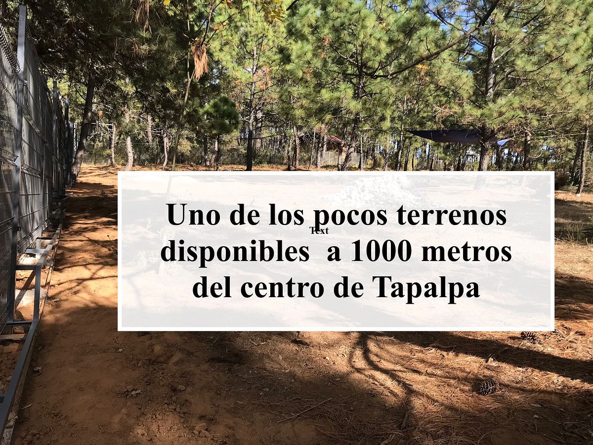 Land for sale in Tapalpa, La Defensa