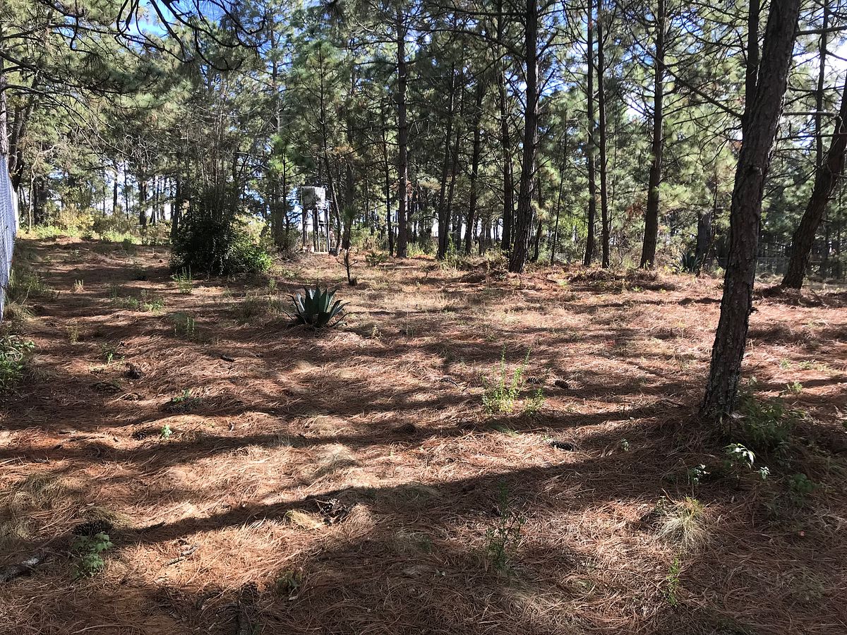 Land for sale in Tapalpa, La Defensa