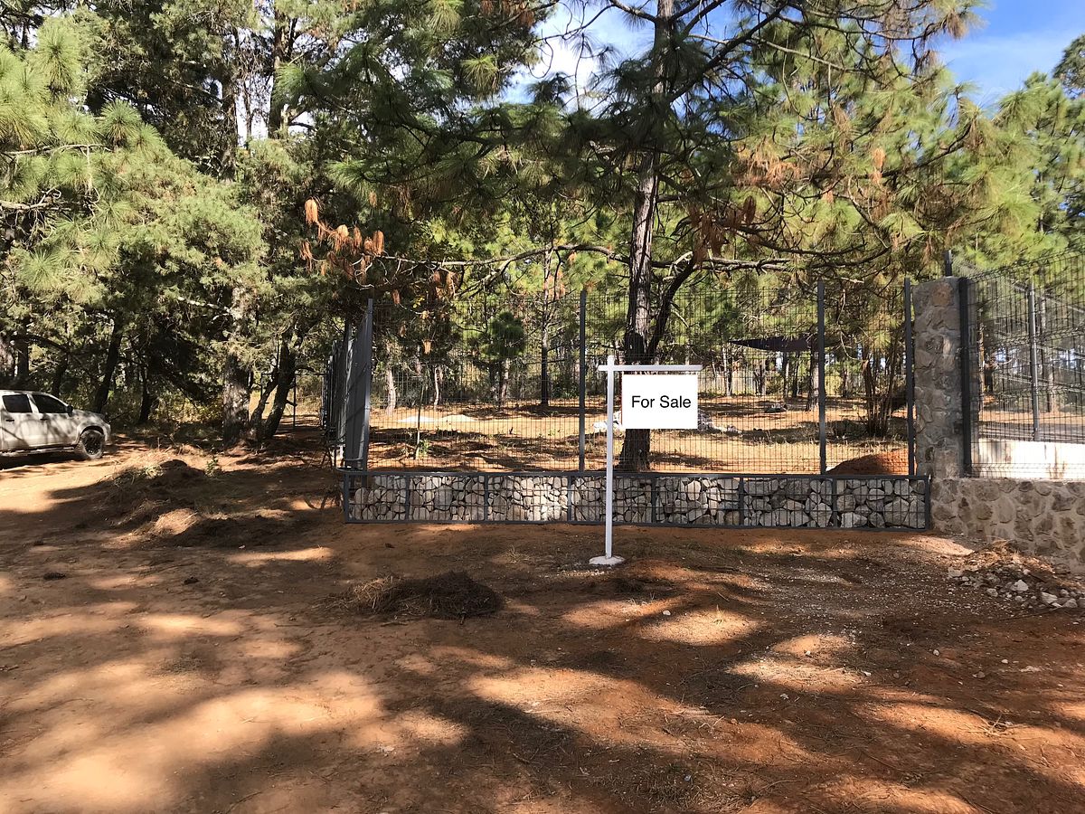 Land for sale in Tapalpa, La Defensa
