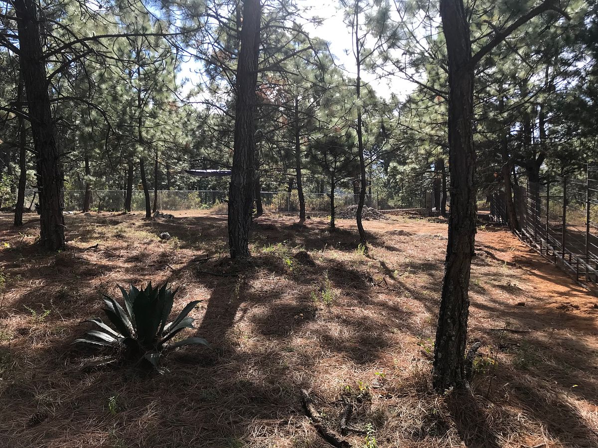Land for sale in Tapalpa, La Defensa
