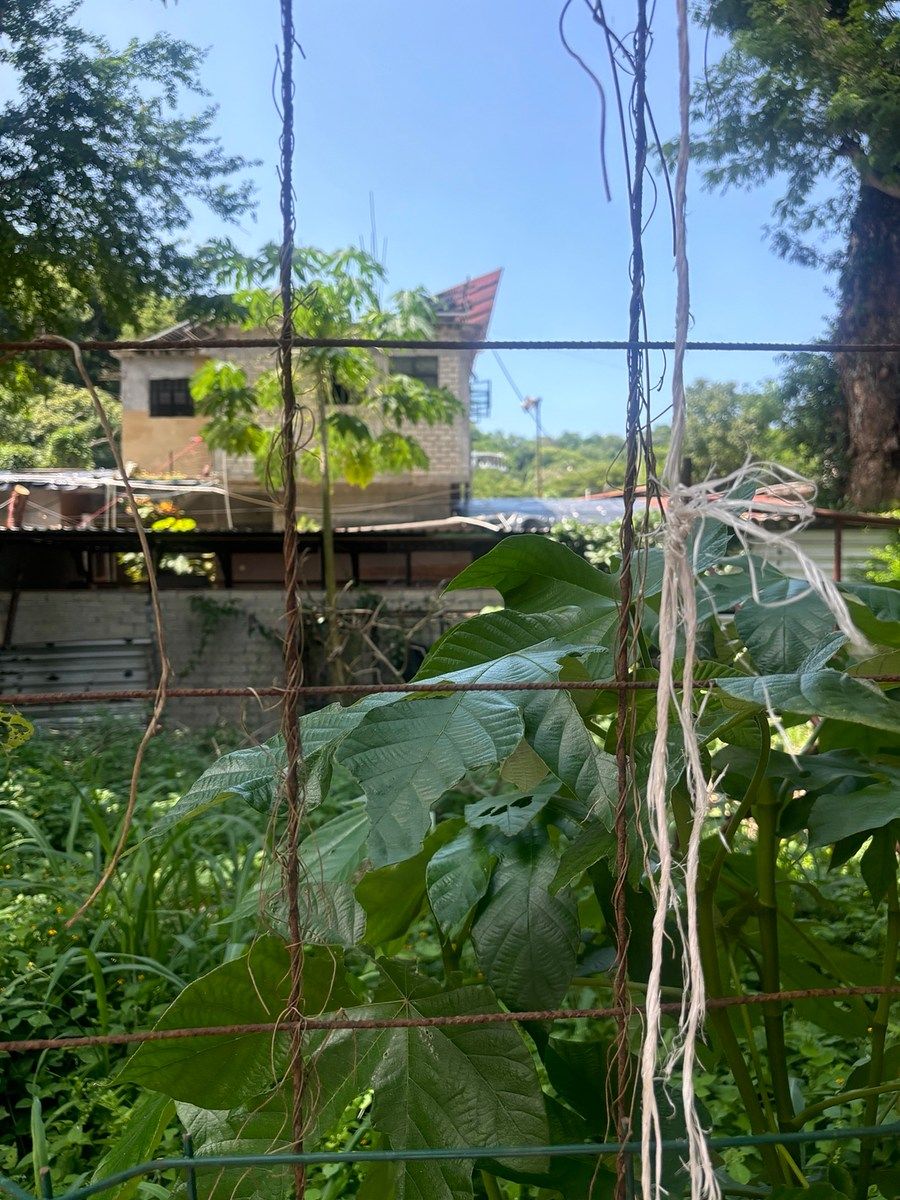 Land for sale in Bahía de Banderas, AVENIDA REVOLUCION