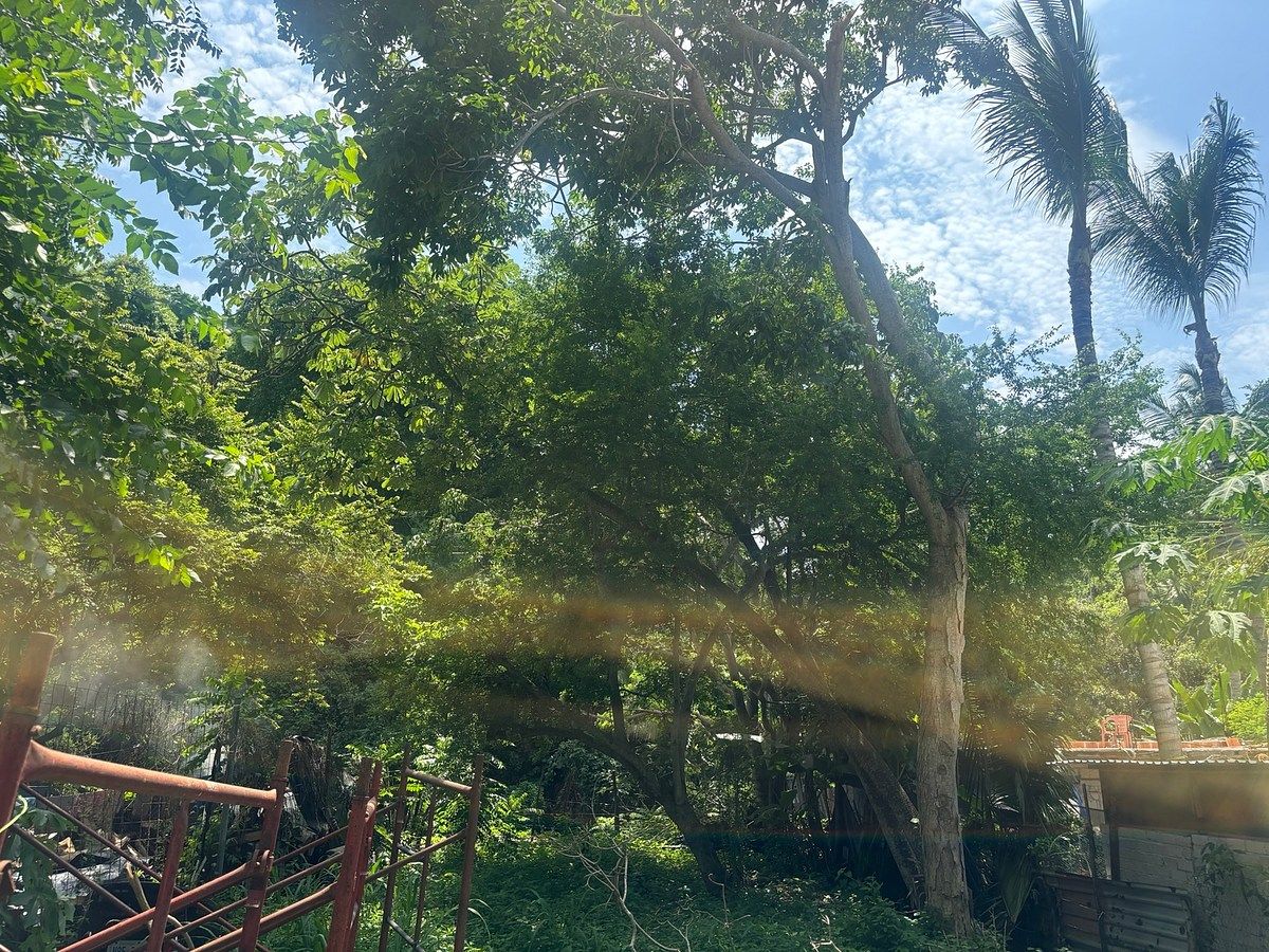 Land for sale in Bahía de Banderas, AVENIDA REVOLUCION