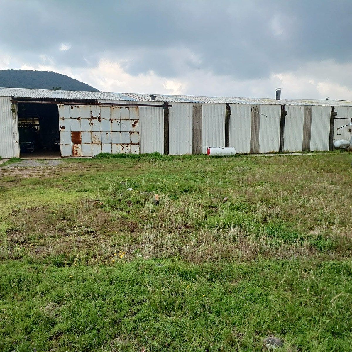 Commercial for rent in Jilotepec, Jesus Gonzalez Ortega,, 1700 m²